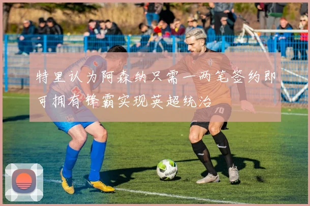 特里认为阿森纳只需一两笔签约即可拥有锋霸实现英超统治